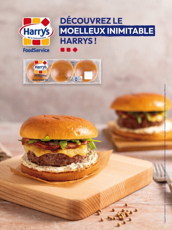 Harrys_HORECA_OnePage_Brillant77g_V2-min (1)