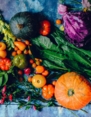 ella-olsson-7EhPbdAQG-s-unsplash